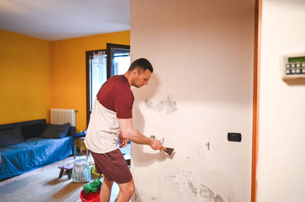 Best Black Mold Removal  in Nneconne, WI